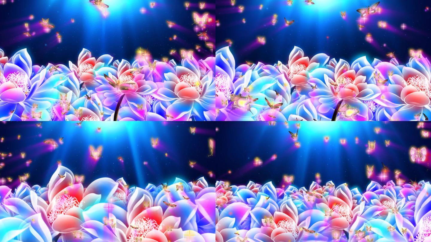 唯美荷花