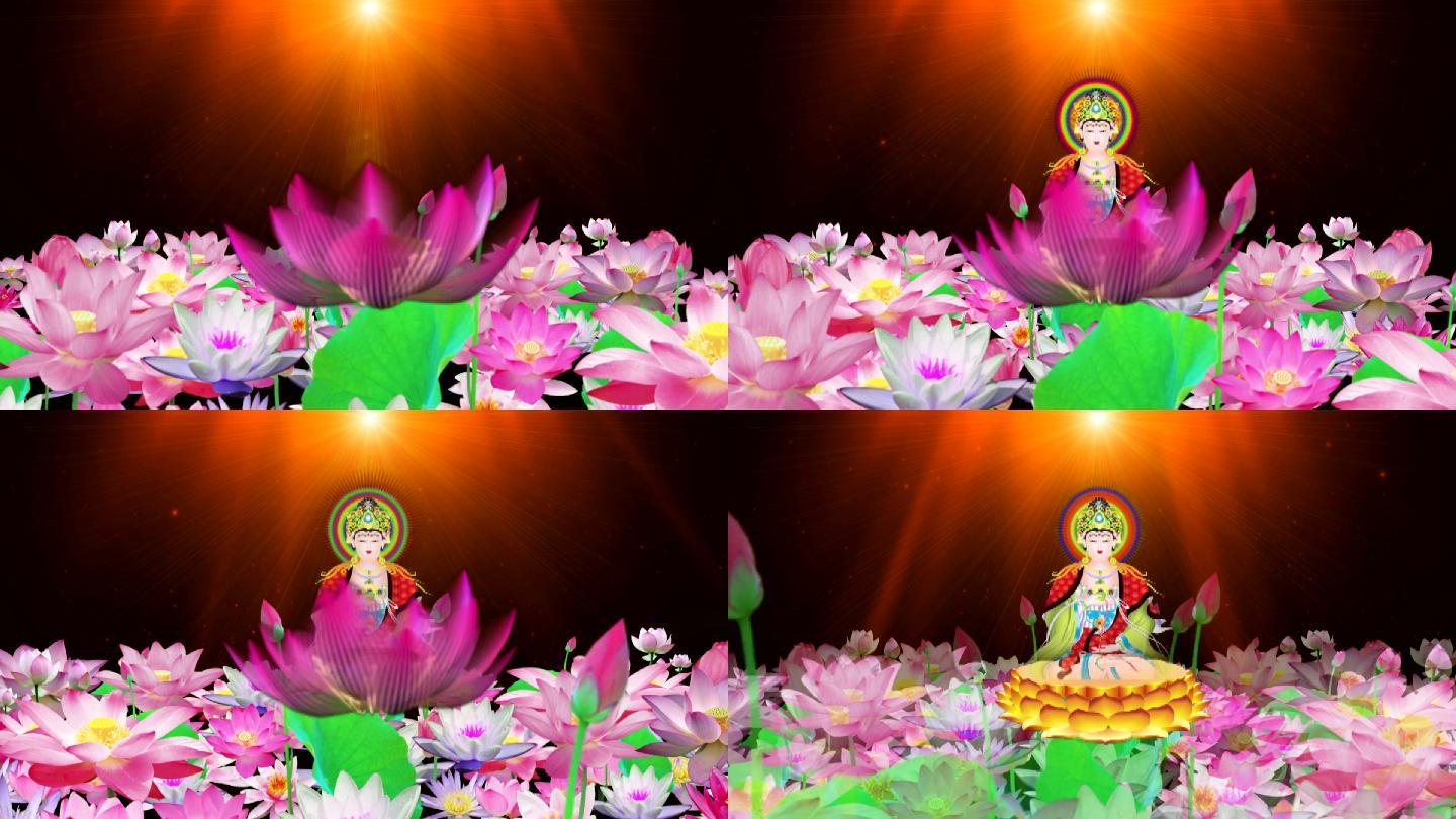 观音莲花