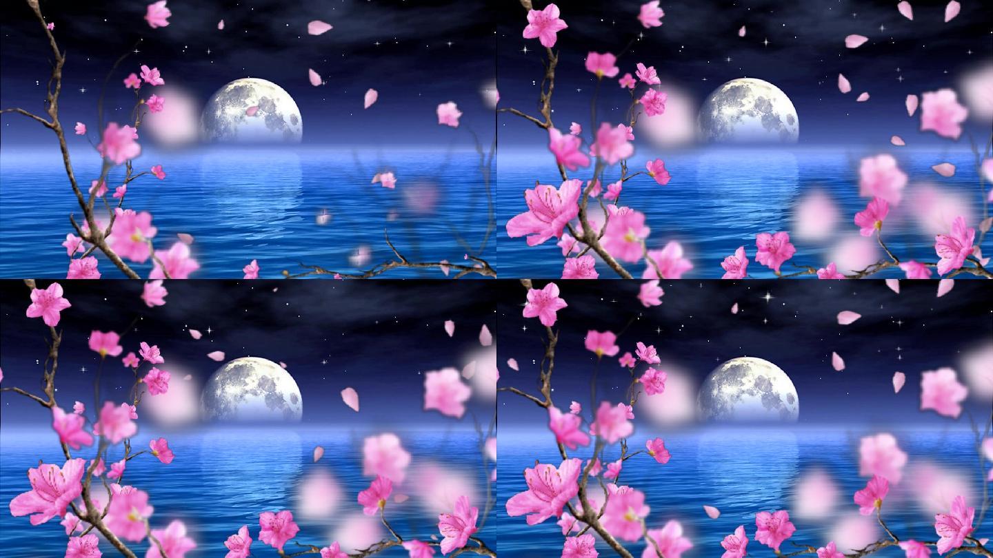 月亮桃花 桃花开