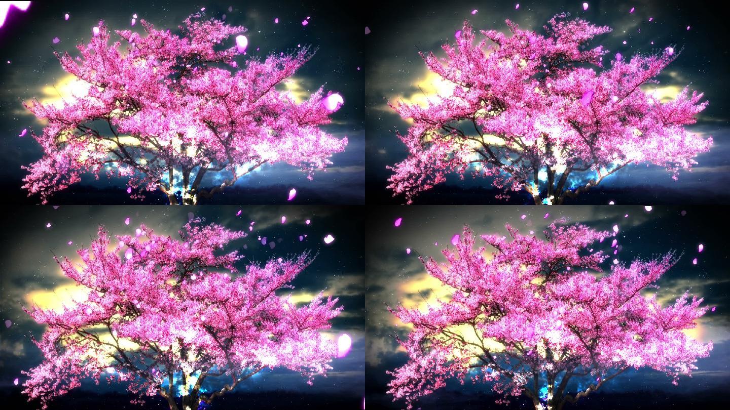 唯美夜色中的流光樱花树 