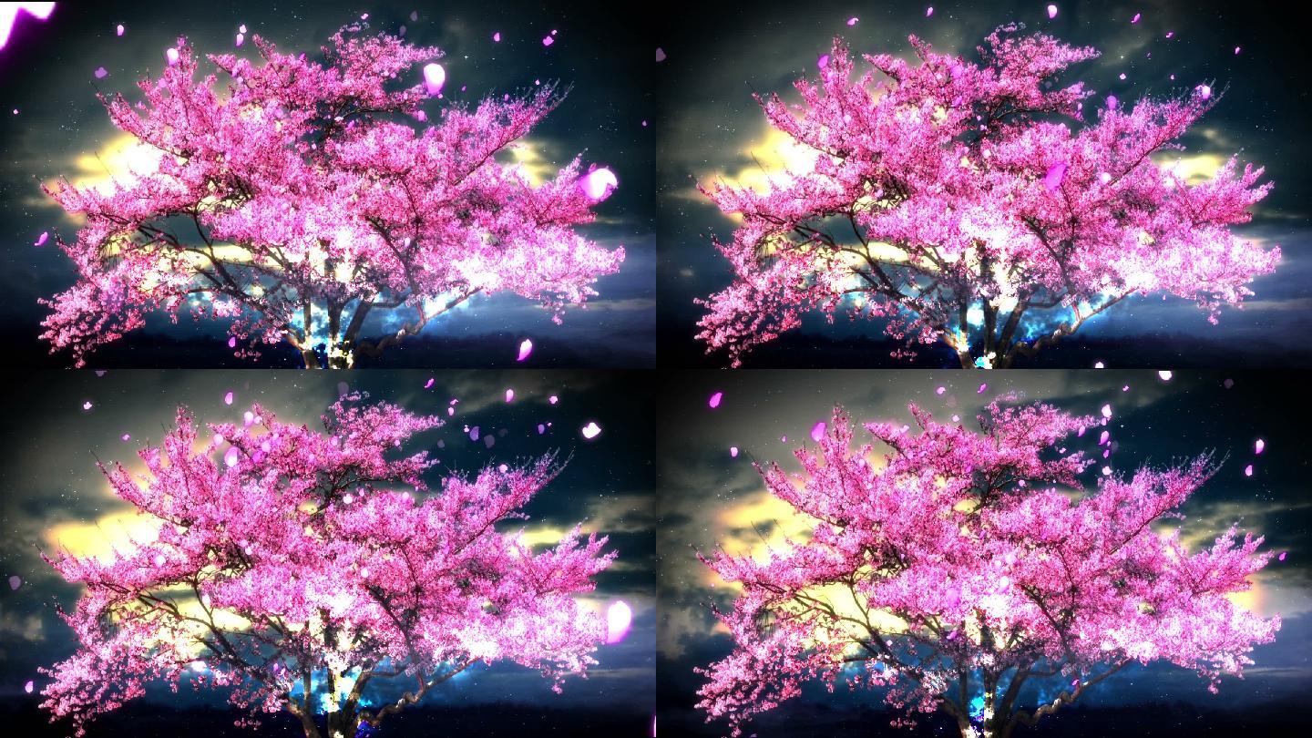 唯美夜色中的流光樱花树