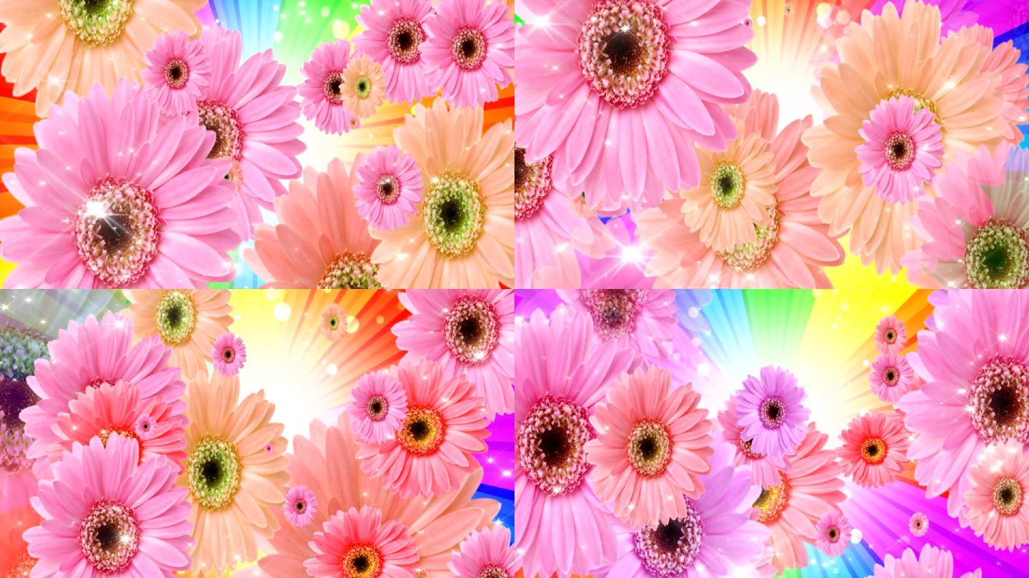 漂亮的彩虹菊花LED高清素材(原创)