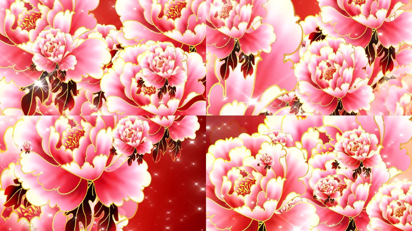 高清牡丹视频牡丹花视频背景(原创)