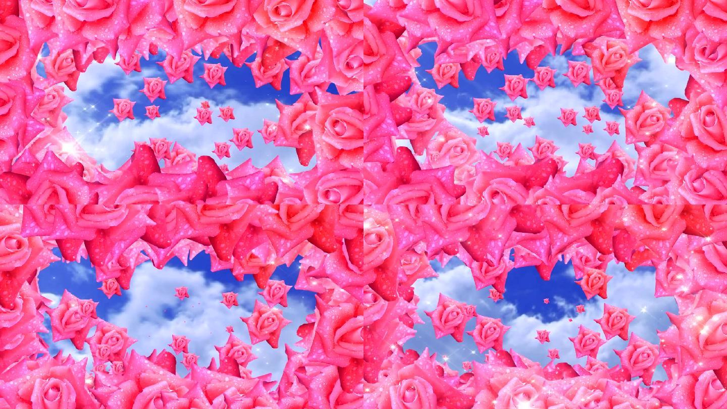 玫瑰花香玫瑰花视频花视频(原创)