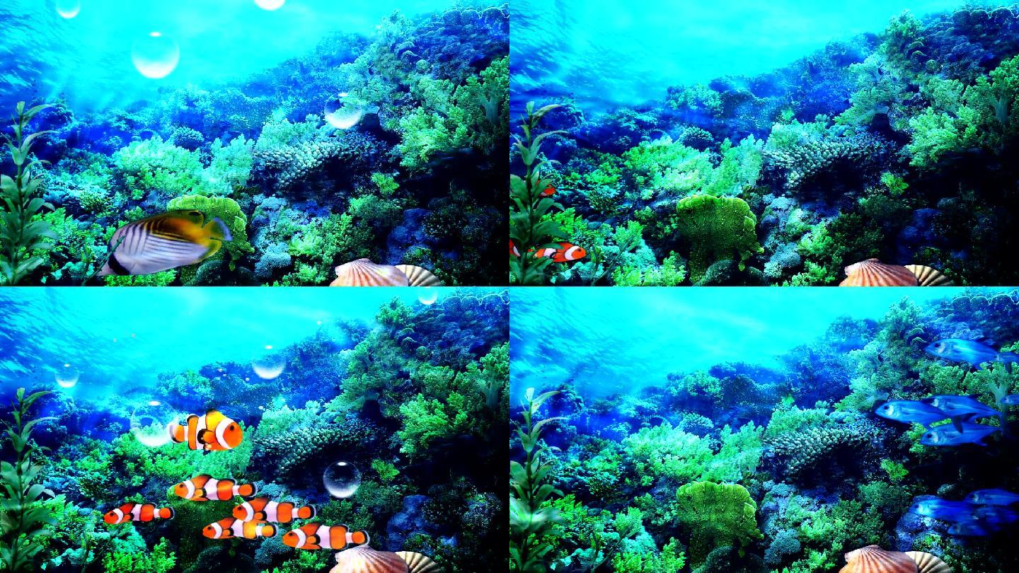 海底世界鱼类视频鱼视频高清