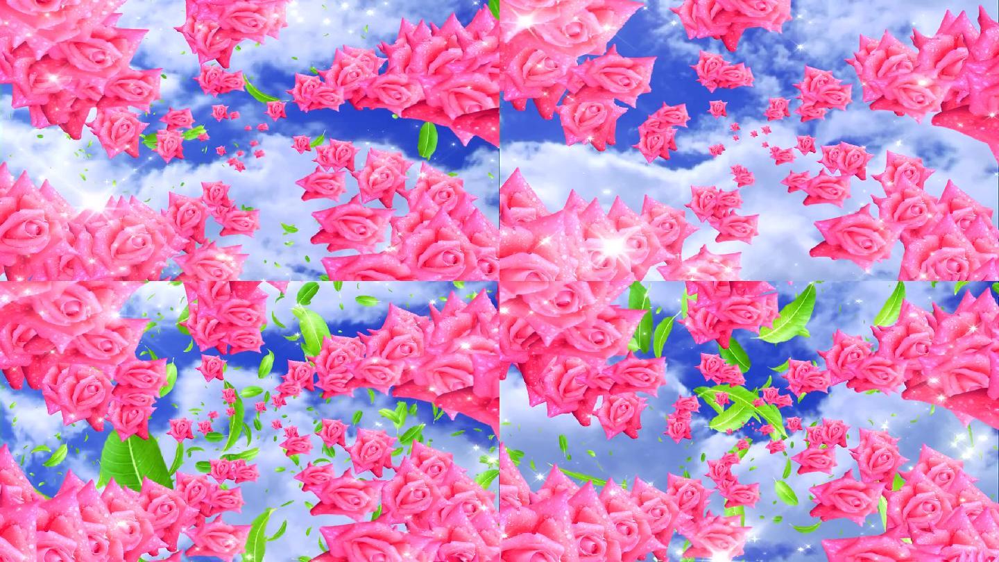 旋转的玫瑰花视频花绽放