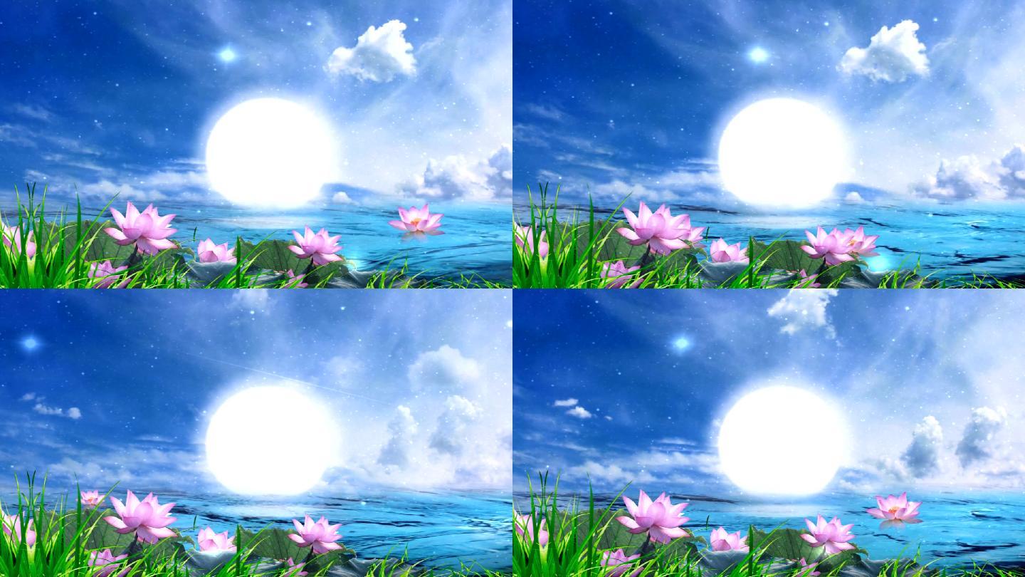 荷塘月色LED高清视频(原创)