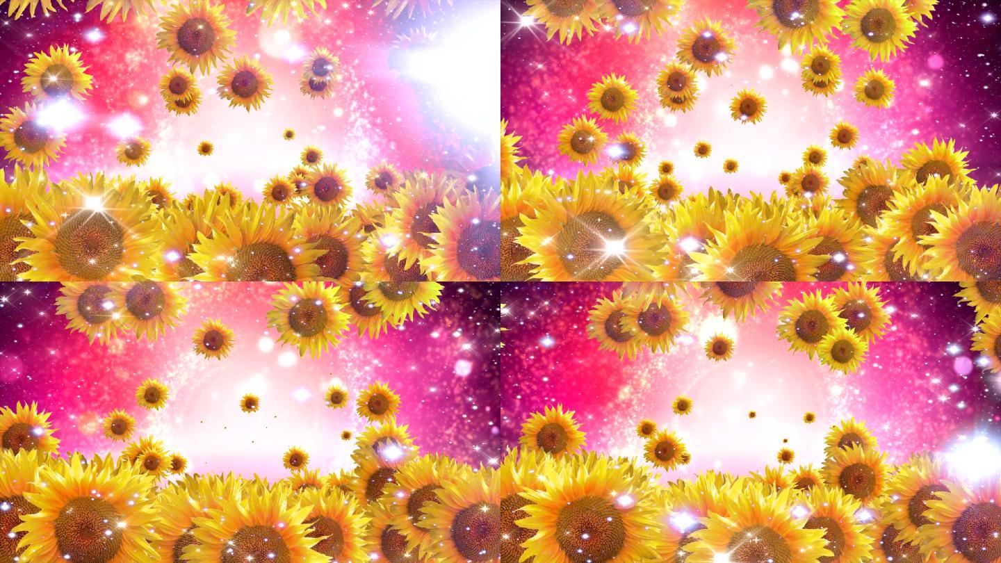 精品梦幻向日葵超清视频