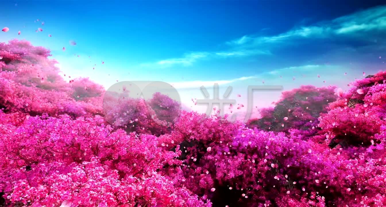 素材 舞台 场景 唯美桃花林来自原始文件或预览原始