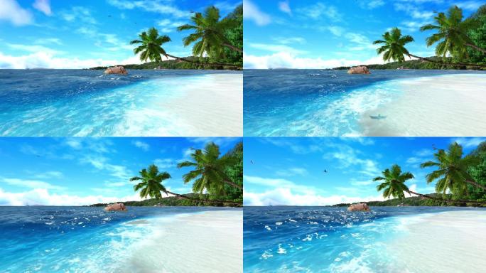 大海椰岛风光视频