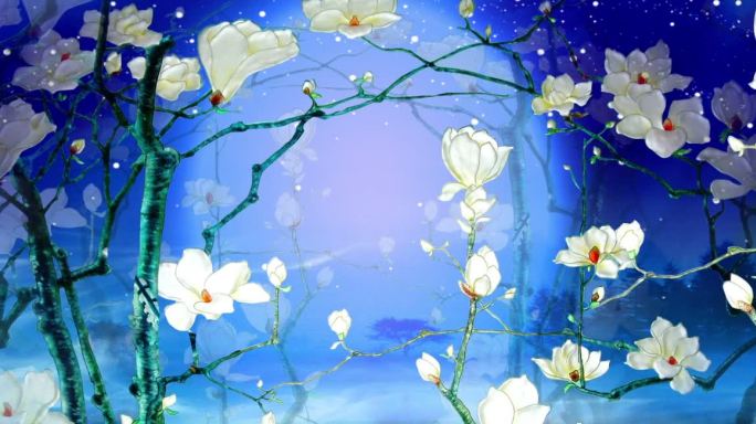 原创 花好月圆  唯美 意境 玉兰花 月亮 花好月圆