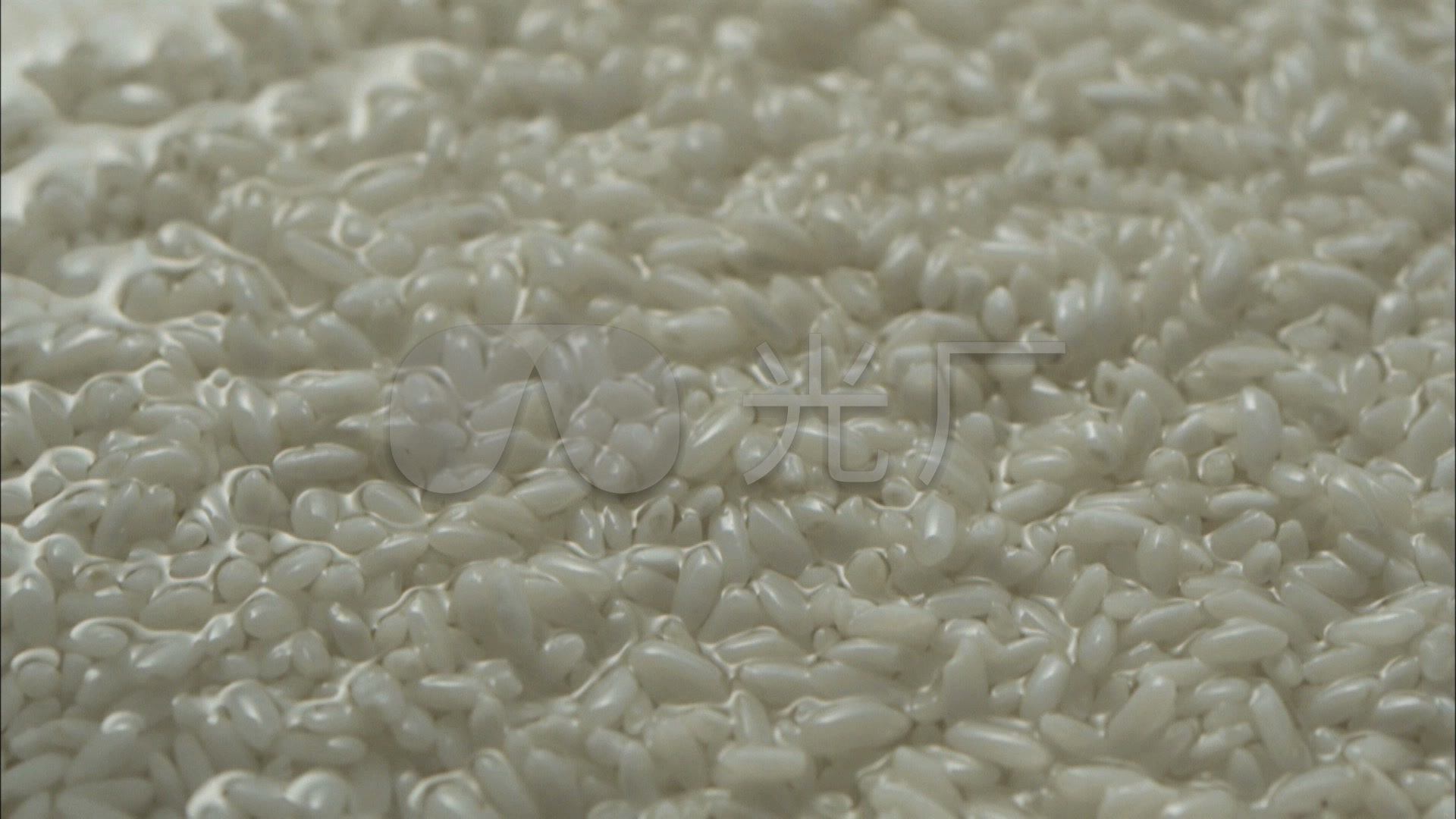 饱满的米粒特写