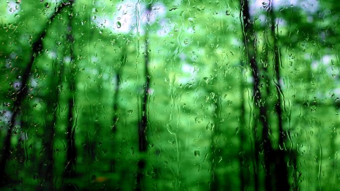 实拍下雨窗外森林颜色漂亮