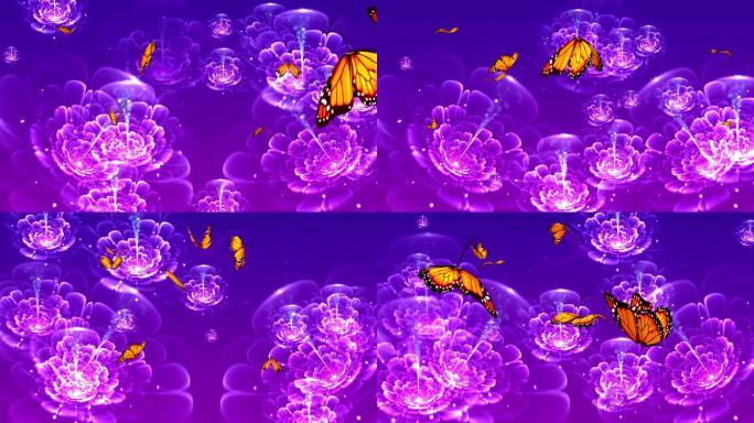 花蝴蝶LED舞台视频