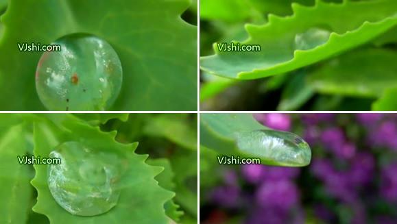 掉落的水滴