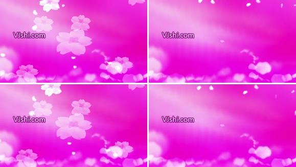 紫色花瓣粒子