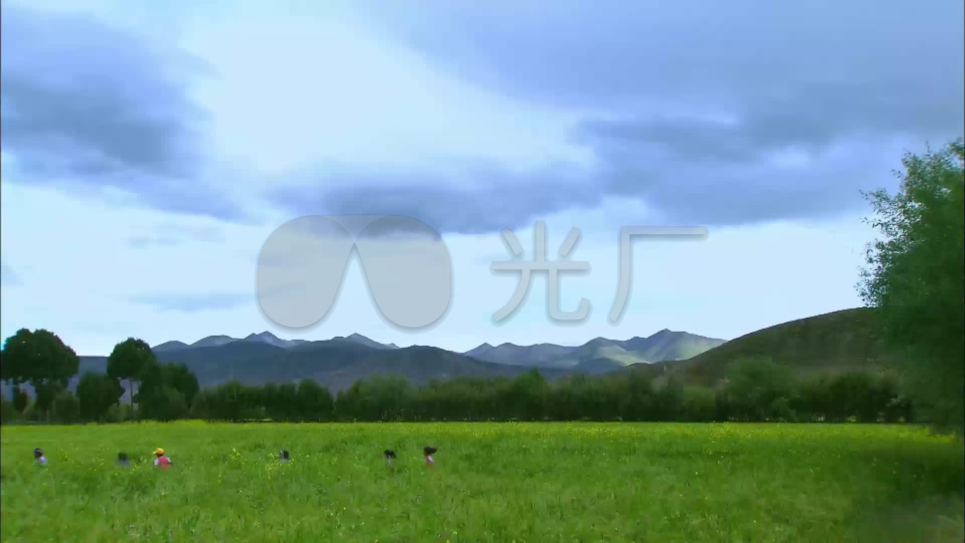 高清實拍視頻素材 風景 農作物