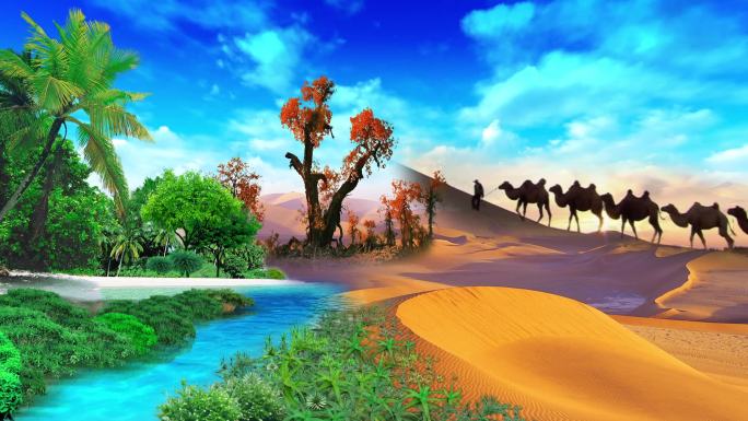 沙漠骆驼绿洲视频