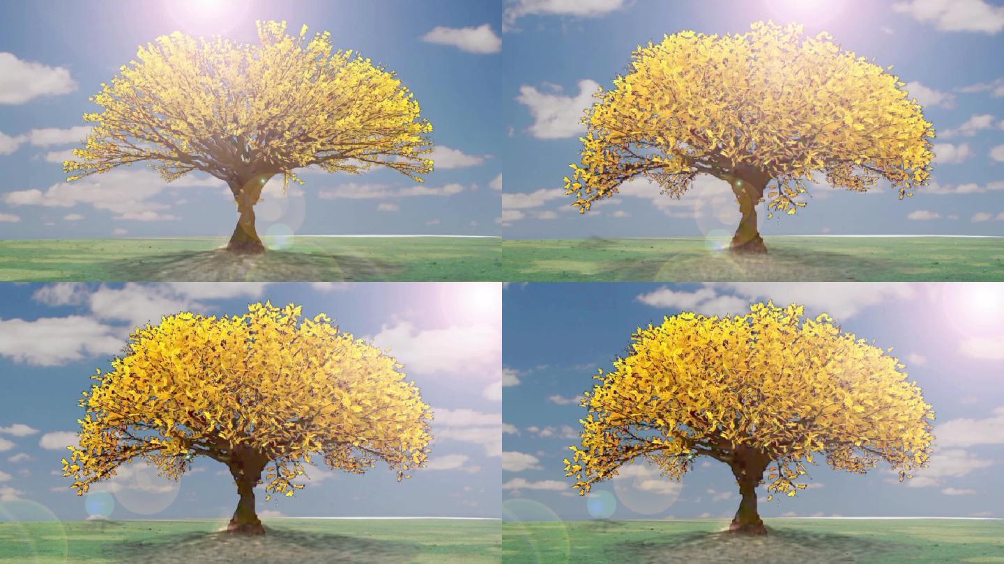 树成长小树变大树