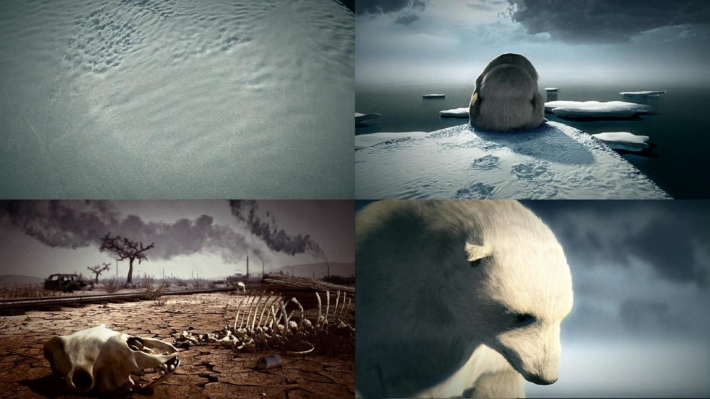 全球变暖引起动物们的自杀视频素材