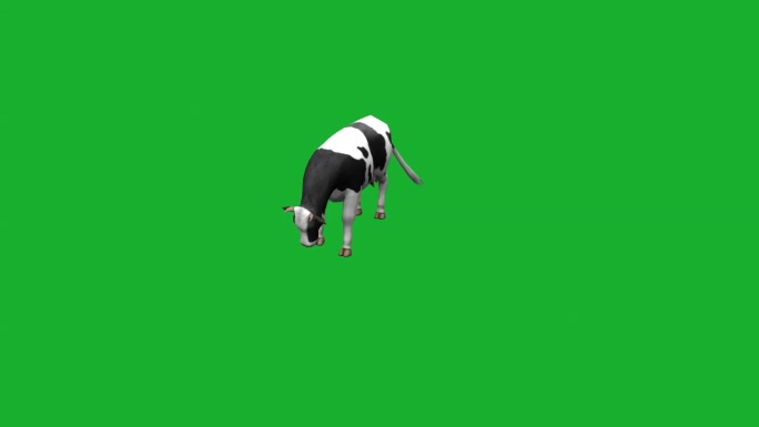 奶牛视频