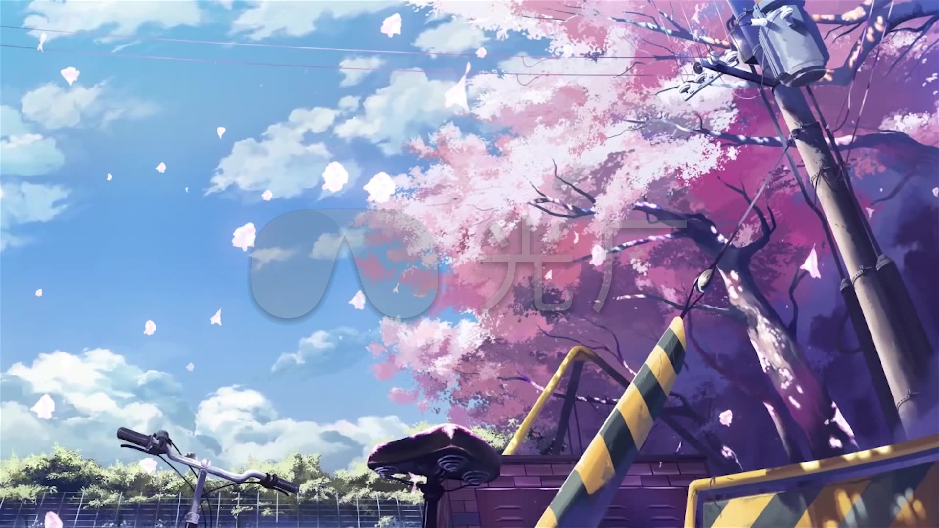 唯美花瓣飘落二维景色