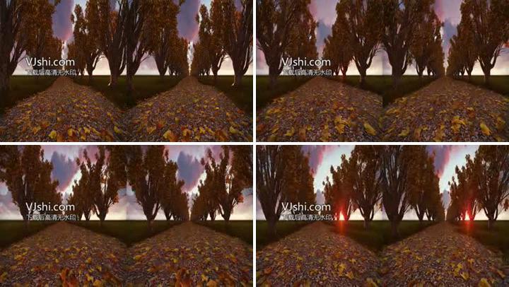 秋季黄昏林荫路3D立体视频（左右格式）
