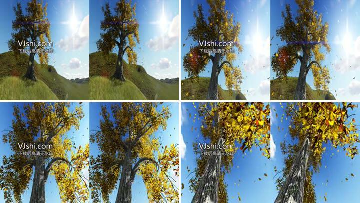 秋日大树落叶3D立体视频（左右格式）