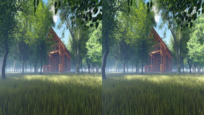 森林中的小木屋3D立体视频（左右格式）