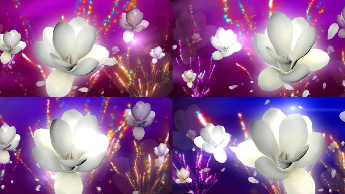 烟火绽放的玉兰花LED视频