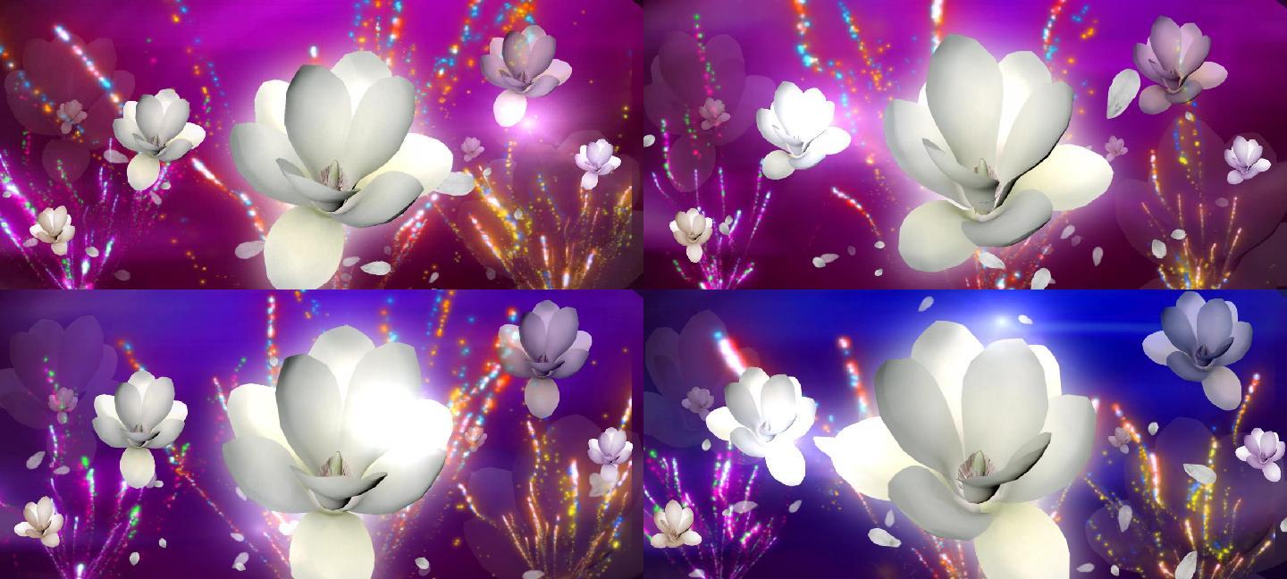烟火绽放的玉兰花LED视频