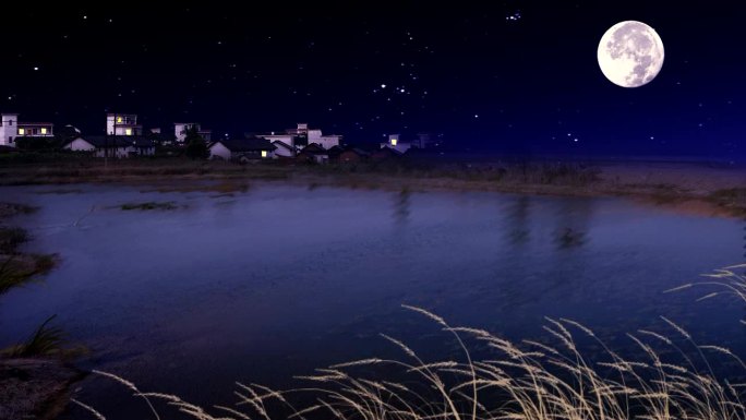 夜晚月光下的池塘LED视频素材