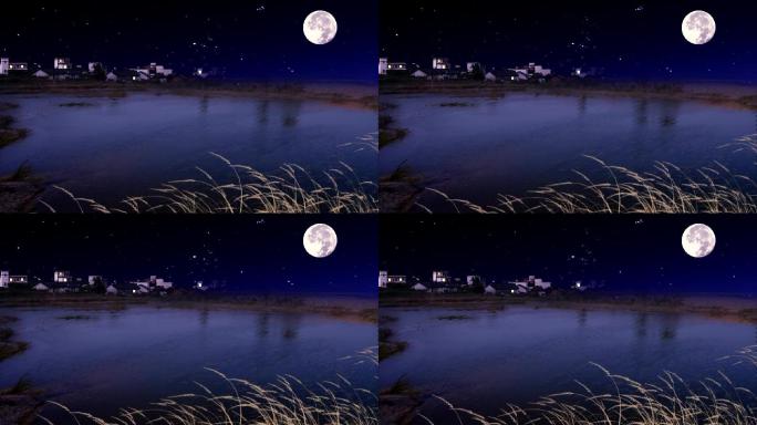 夜晚月光下的池塘LED视频素材