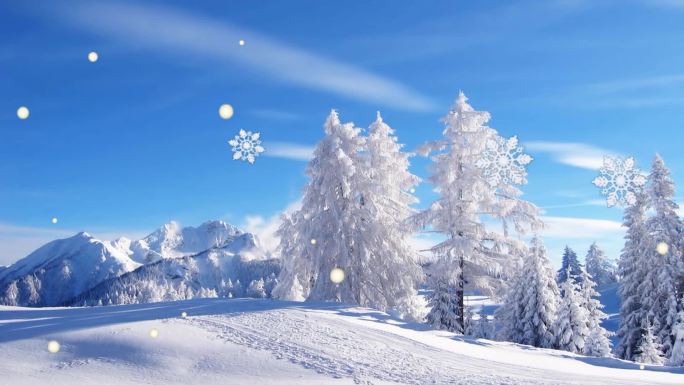 美丽树挂雪景