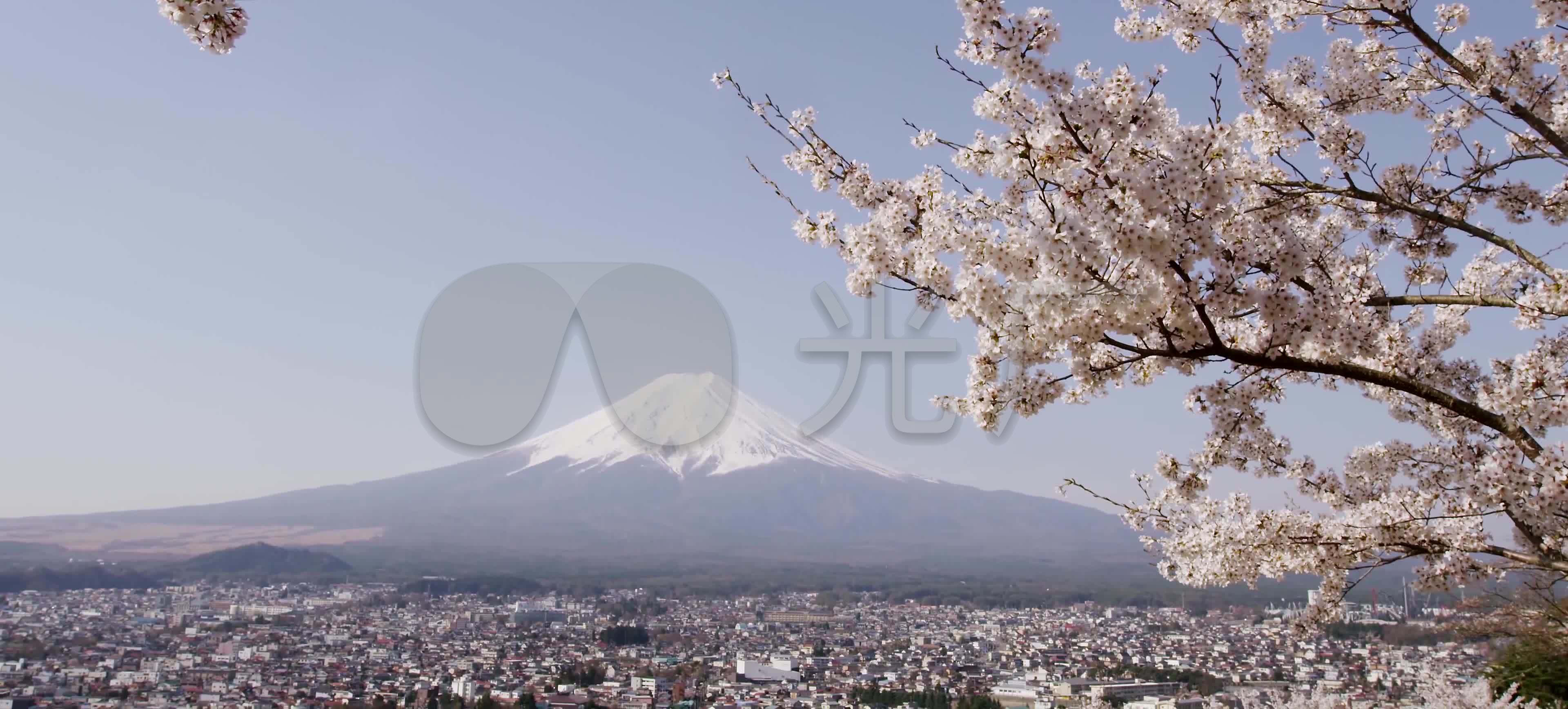 春天的富士山下的樱花开放季_3840X1736_高