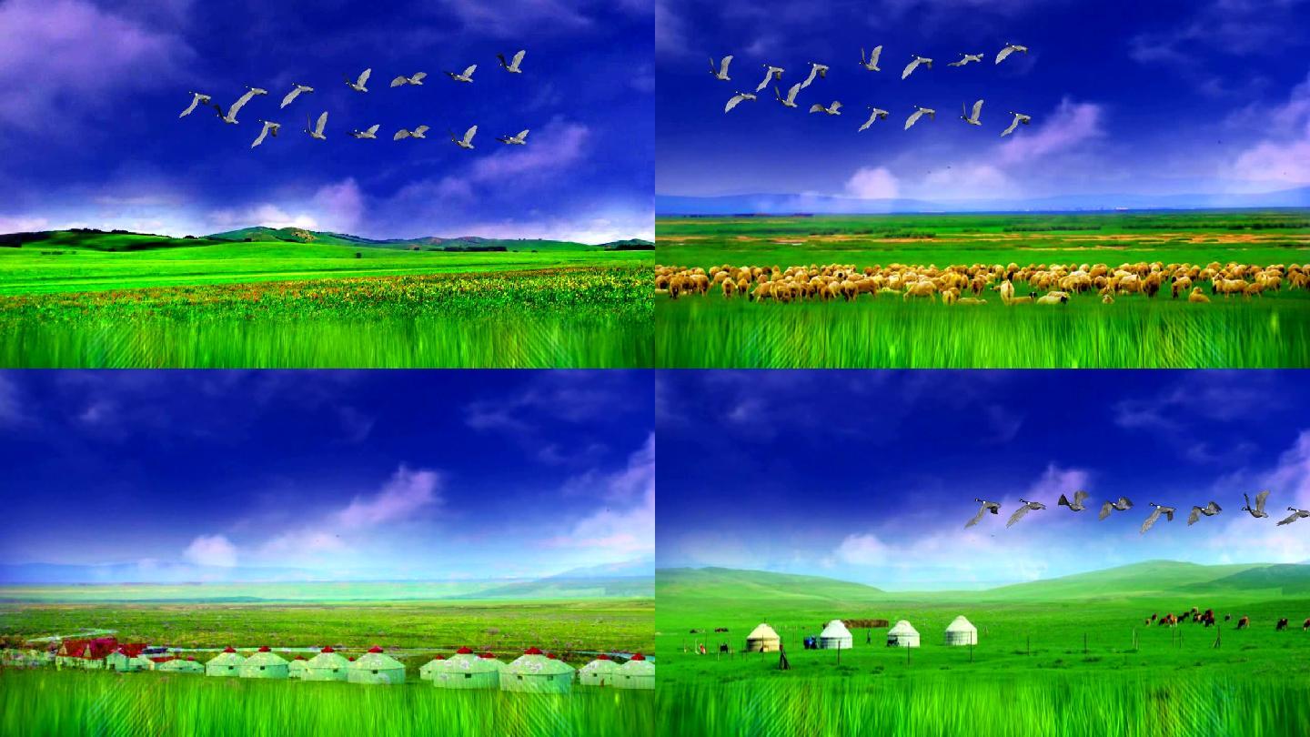 鸿雁大雁草原蒙古包led大屏