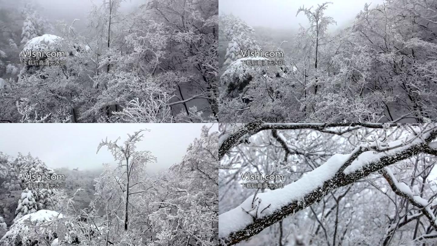 黄山冬雪美景1