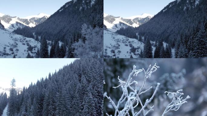 冬季雪景雾凇航拍特写