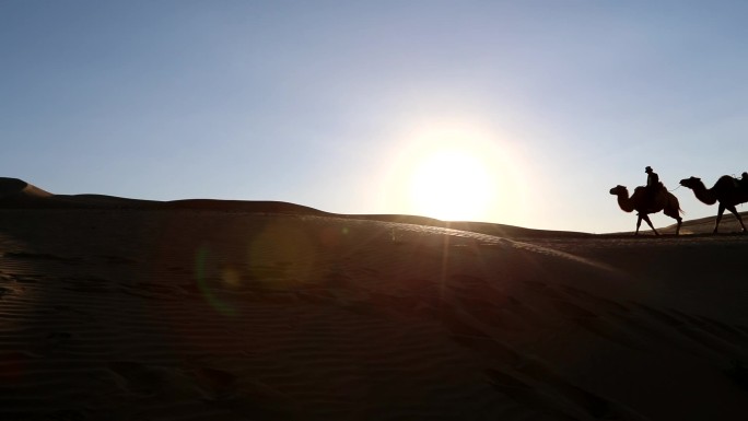 沙漠的骆驼光影
