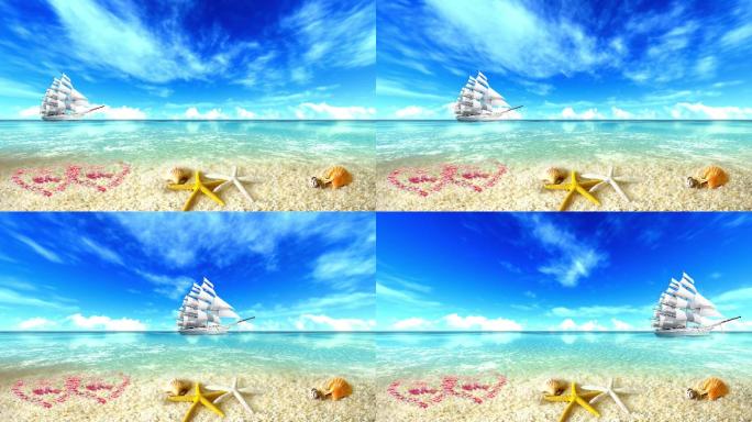 大海沙滩海螺