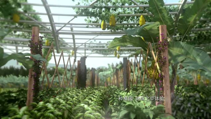 三维建筑动画3D蔬菜大棚