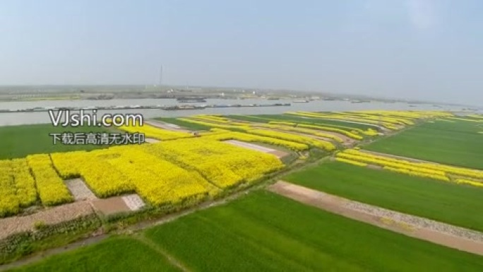 淮河和油菜花（航拍）