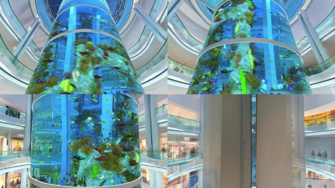 三维室内大型商业商场中心水族馆圆柱形水族