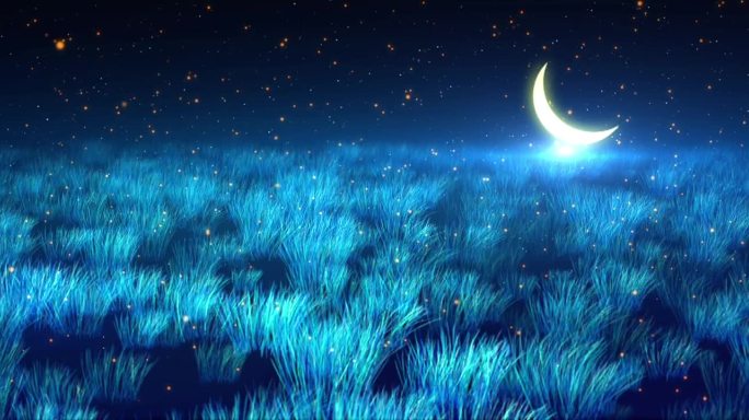 月夜草地星空
