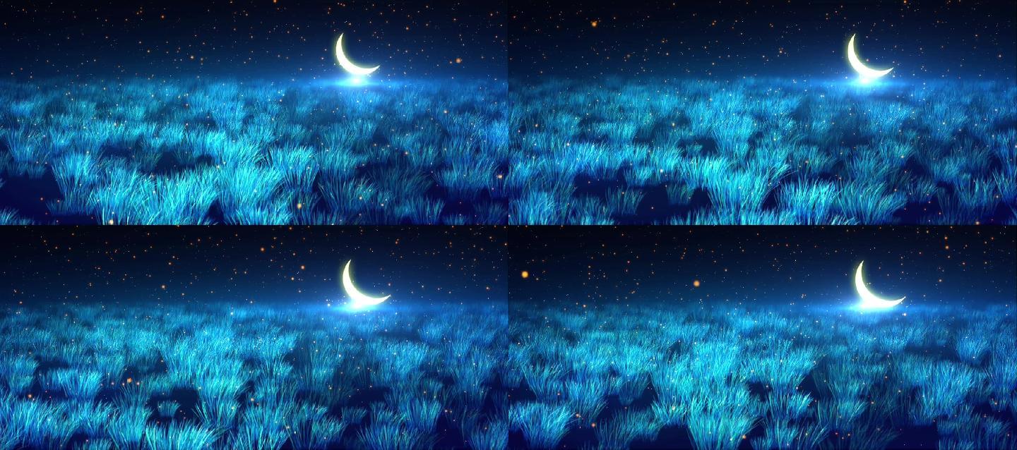 月夜草地星空