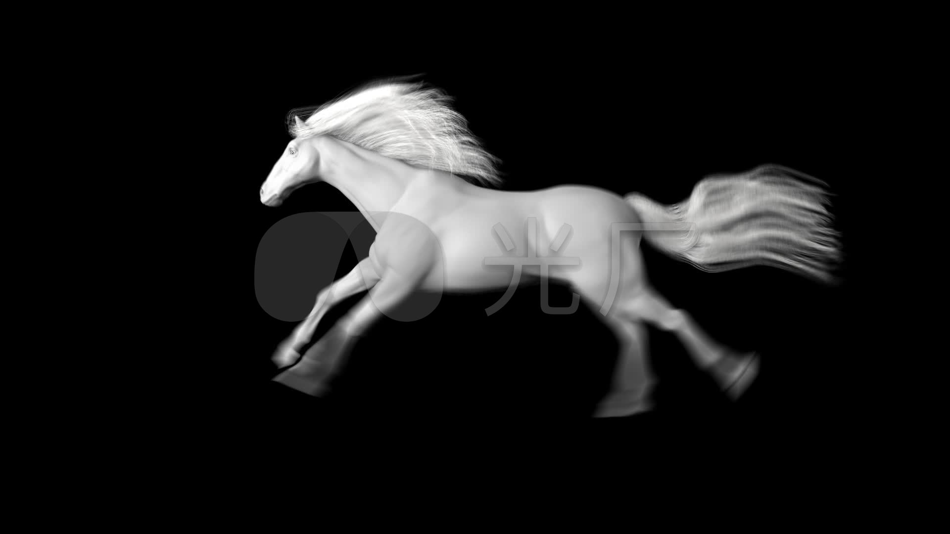 Two white horses running HD wallpaper | Wallpaper Flare