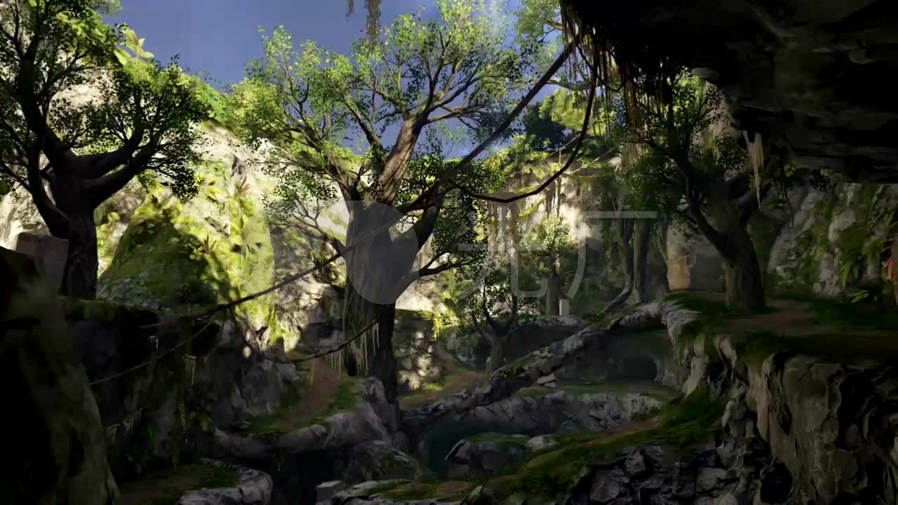 原始森林,魔幻森林,丛林,雨林,山林