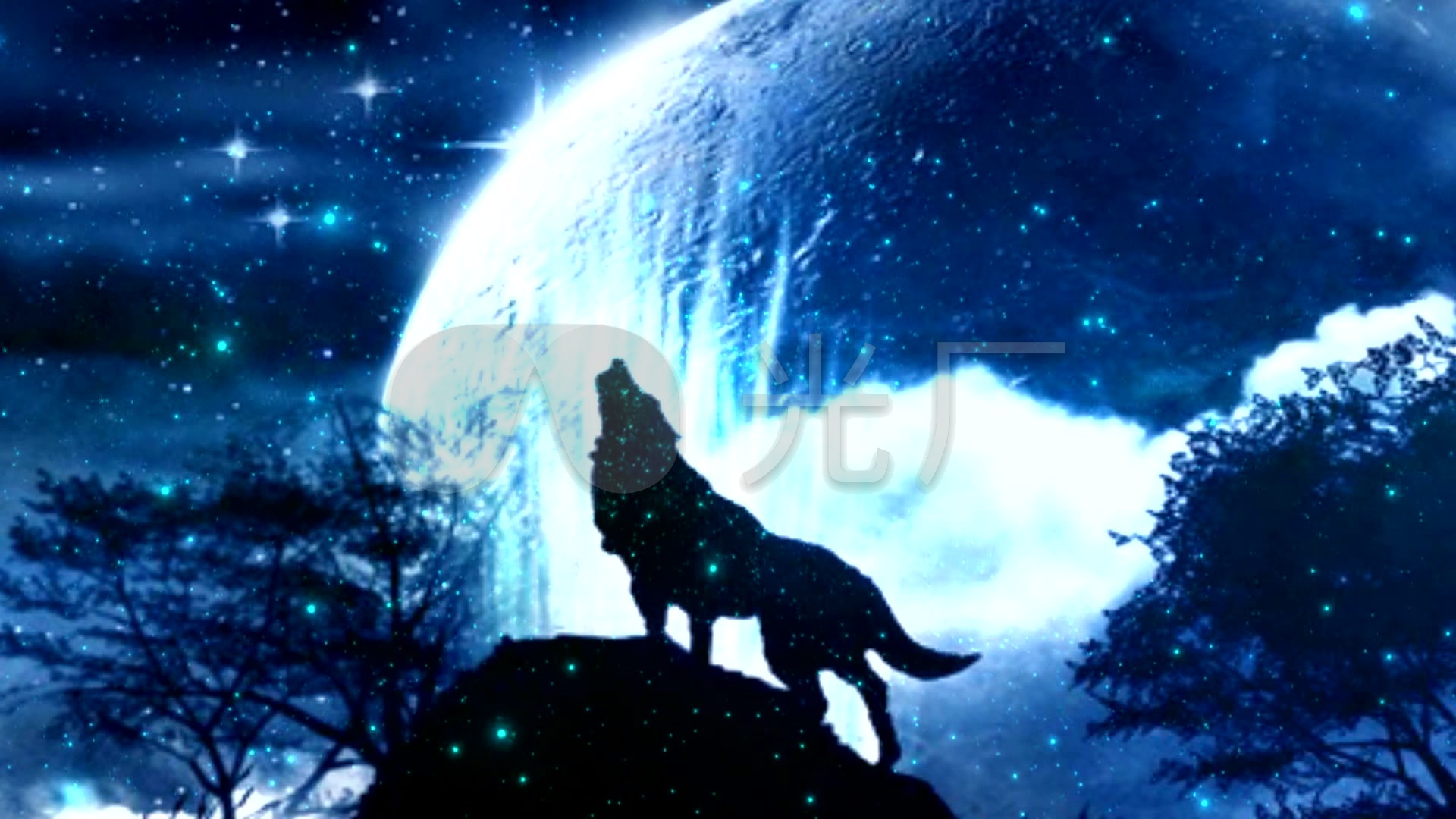 下载手机图片:动物, 狼, 蓝色的, 散景, 蓝眼睛, 散焦, 狼队，免费1117575。