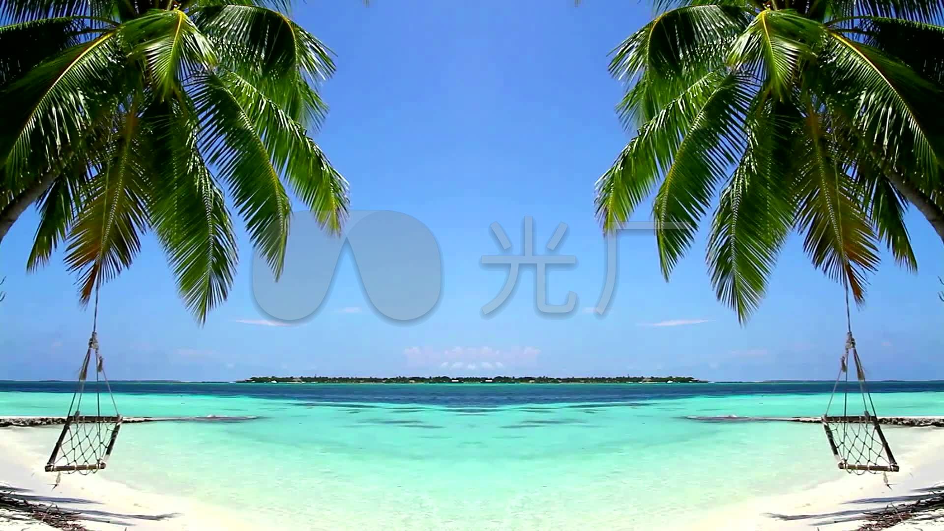 海边高清浪花椰树风景图片_蛙客网viwik.com