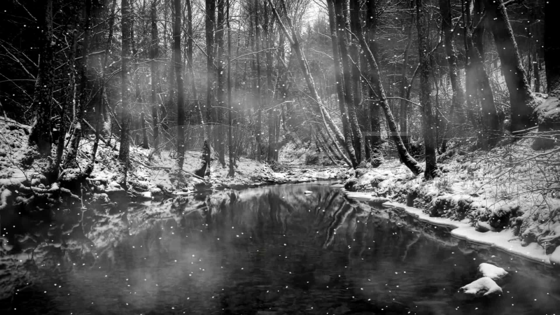 夜晚森林雪景图片素材_免费下载_jpg图片格式_VRF高清图片500773435_摄图网